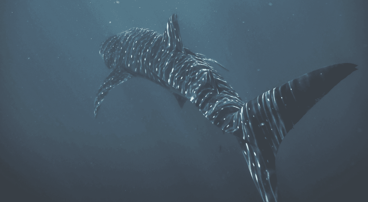 Testimonials background