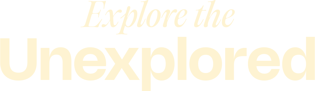 Explore the Unexplored
